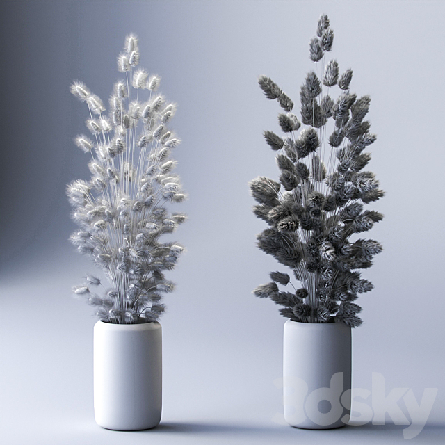 Bouquet of dried flowers. 2 models 3DSMax File - thumbnail 3