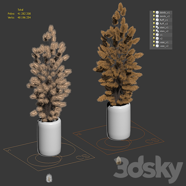 Bouquet of dried flowers. 2 models 3DSMax File - thumbnail 4