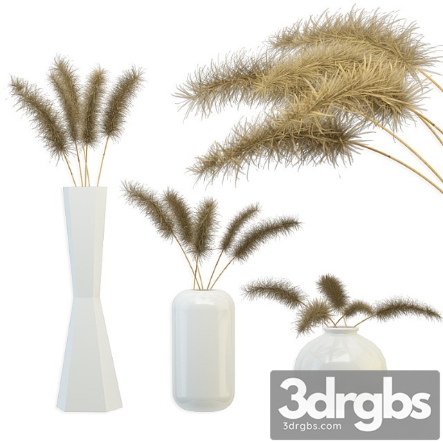 Bouquet Of Dried Flowers 3dsmax Download - thumbnail 1