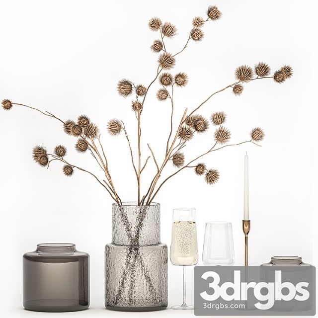 Bouquet of Dried Flowers from Burdock Thorn Branches With Vase and Glass of Sparkling Wine 253 3dsmax Download - thumbnail 1