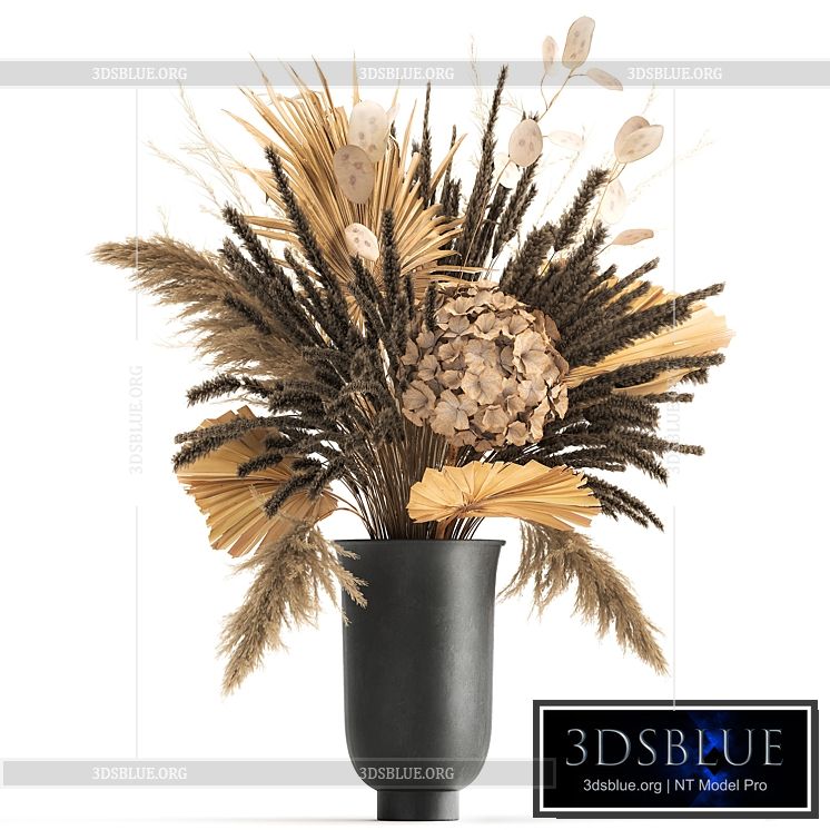 Bouquet of dried flowers in a black vase with dry branches of palm leaves pampas and Hydrangea. 168. 3DS Max - thumbnail 3