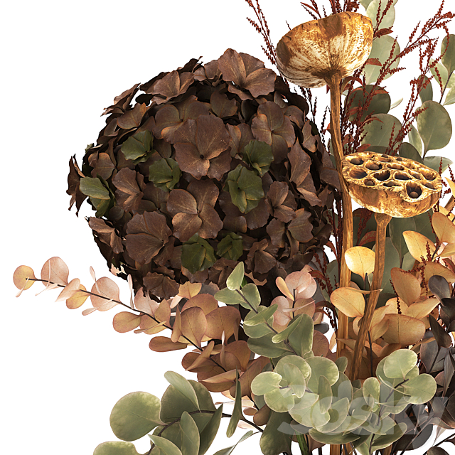 Bouquet of dried flowers in a black vase with dry red branches of Solidago Hydrangea Dry lotus and Barberry . 158. 3ds Max - thumbnail 3