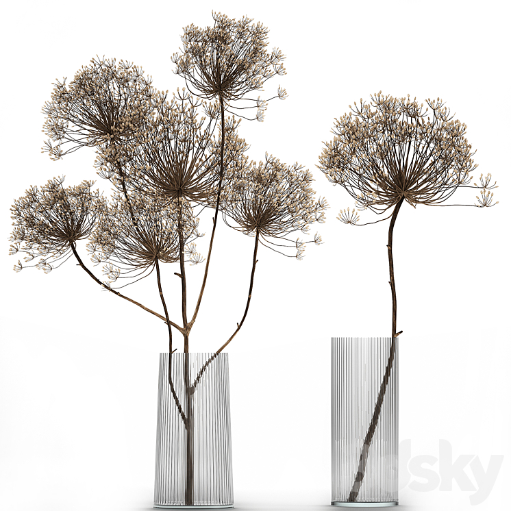 Bouquet of dried flowers in a glass vase with dry branches Hogweed . 158. 3DS Max Model - thumbnail 3