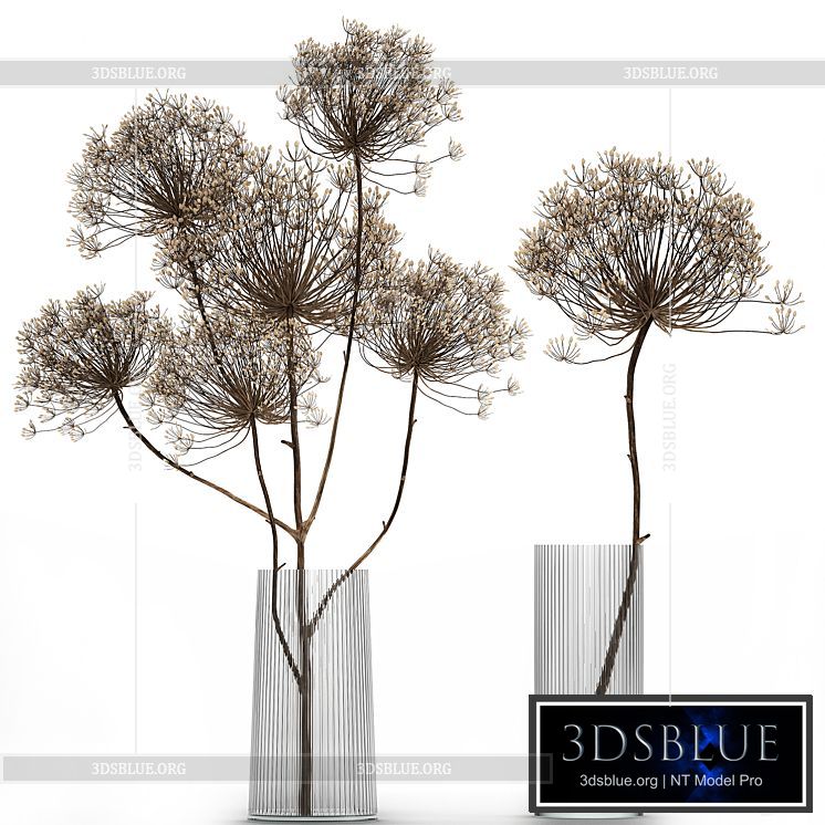 Bouquet of dried flowers in a glass vase with dry branches Hogweed . 158. 3DS Max - thumbnail 3