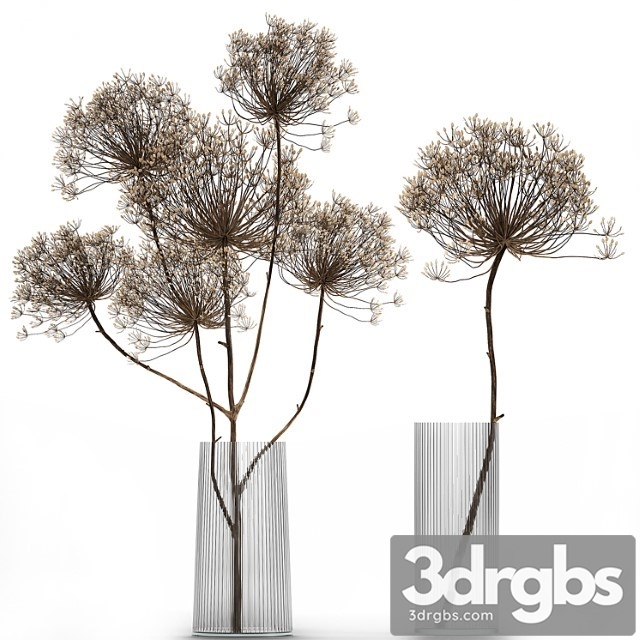 Bouquet Of Dried Flowers In A Glass Vase With Dry Branches Hogweed 158 3dsmax Download - thumbnail 1