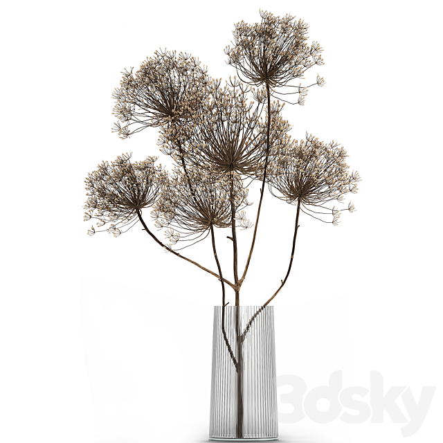 Bouquet of dried flowers in a glass vase with dry branches Hogweed . 158. 3DSMax File - thumbnail 3