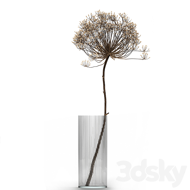 Bouquet of dried flowers in a glass vase with dry branches Hogweed . 158. 3DSMax File - thumbnail 5