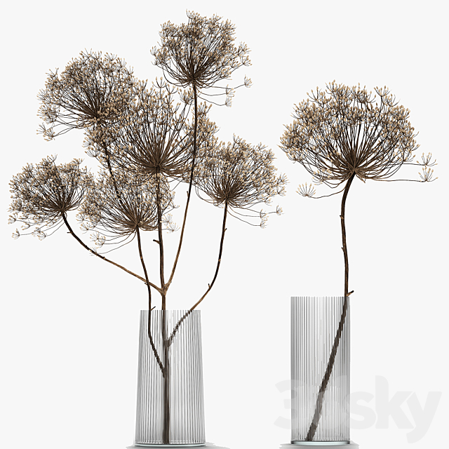 Bouquet of dried flowers in a glass vase with dry branches Hogweed . 158. 3DSMax File - thumbnail 6