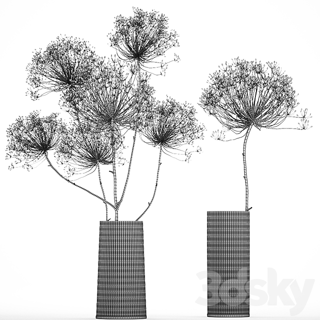 Bouquet of dried flowers in a glass vase with dry branches Hogweed . 158. 3DSMax File - thumbnail 7