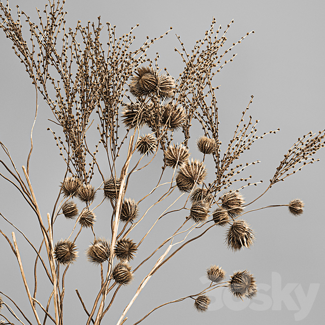 Bouquet of dried flowers in a glass vase with thorn branches and dry thistle. 183. 3ds Max - thumbnail 2