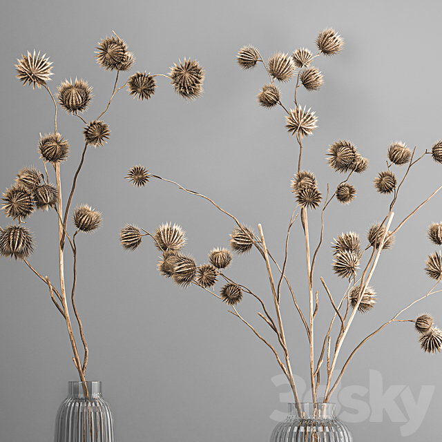 Bouquet of dried flowers in a vase with branches of dry thorns thistle . 182. 3DS Max Model - thumbnail 2