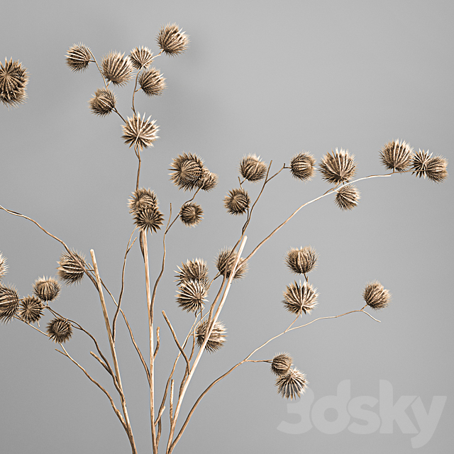 Bouquet of dried flowers in a vase with branches of dry thorns thistle . 182. 3DS Max Model - thumbnail 3