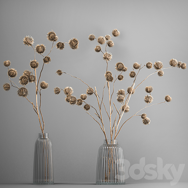 Bouquet of dried flowers in a vase with branches of dry thorns thistle . 182. 3DS Max Model - thumbnail 6