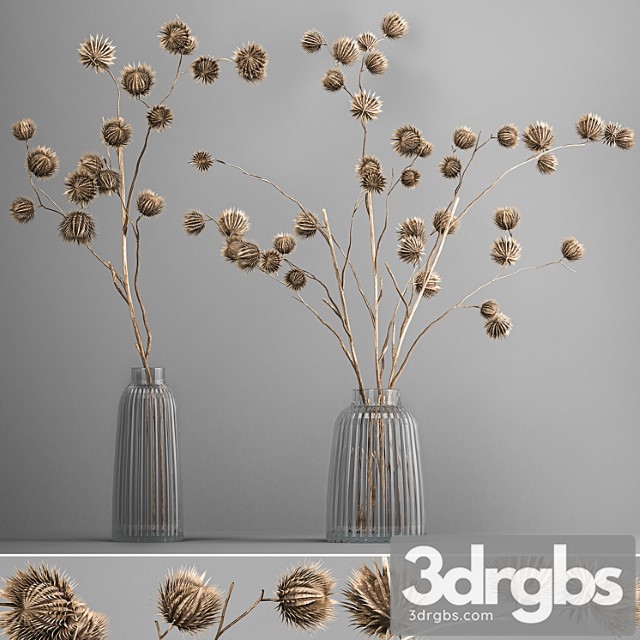 Bouquet of Dried Flowers in a Vase With Branches of Dry Thorns Thistle 182 3dsmax Download - thumbnail 1