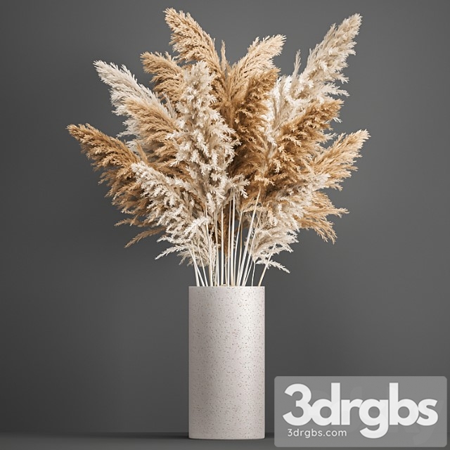 Bouquet of dried flowers in a white vase with pampas, pampas grass, cortaderia, branch. 192. - thumbnail 1