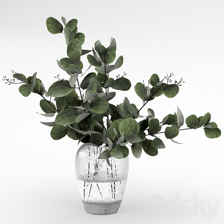 Bouquet of eucalyptus 3DS Max - thumbnail 1