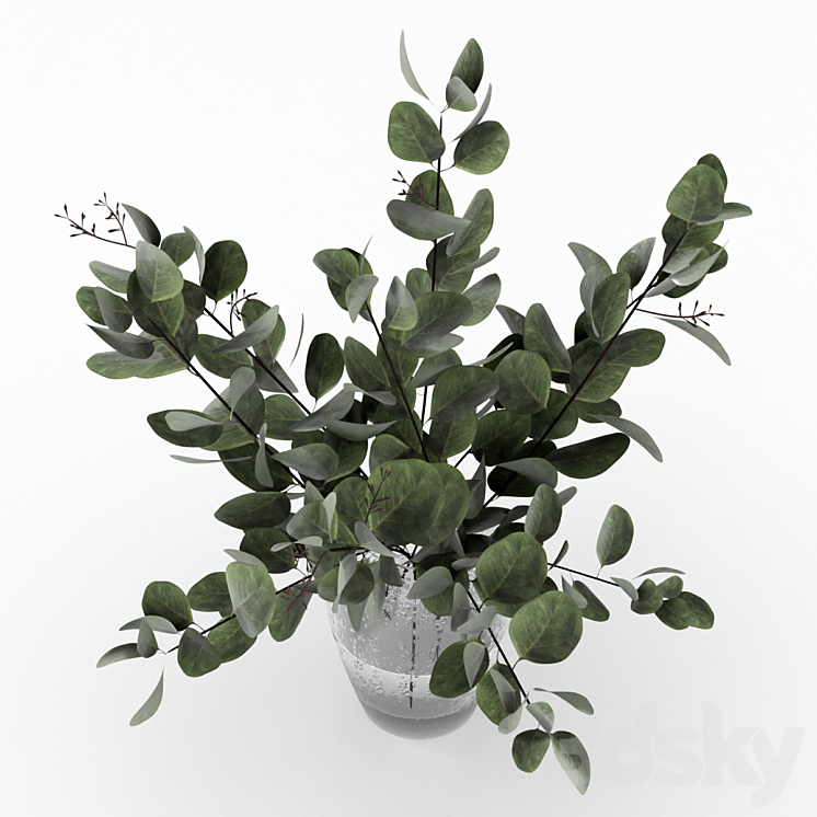 Bouquet of eucalyptus 3DS Max - thumbnail 2