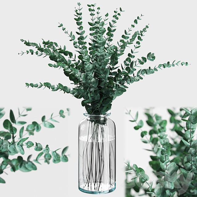 Bouquet of eucalyptus branches 3DS Max Model - thumbnail 1