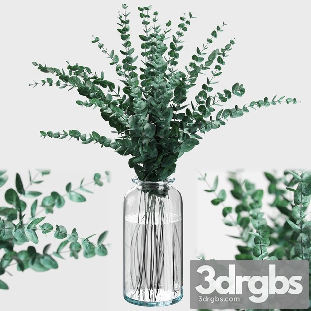 Bouquet of Eucalyptus Branches 3dsmax Download - thumbnail 1