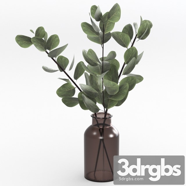 Bouquet of Eucalyptus Twigs 3dsmax Download - thumbnail 1