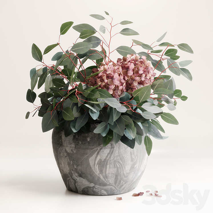 Bouquet of Eucalyptus with Hydrangea 3DS Max - thumbnail 1