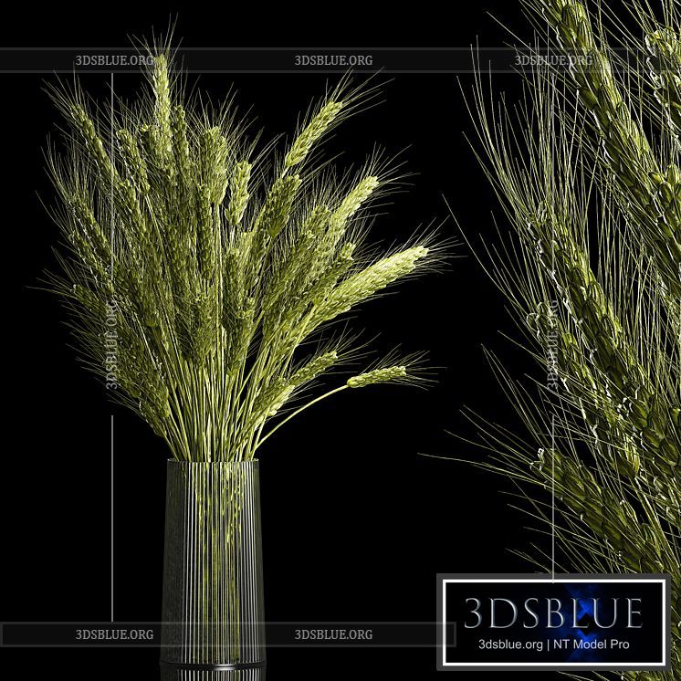 Bouquet of green flowers in a glass vase for decoration of wheat branches spikelet. 265. 3DS Max - thumbnail 3