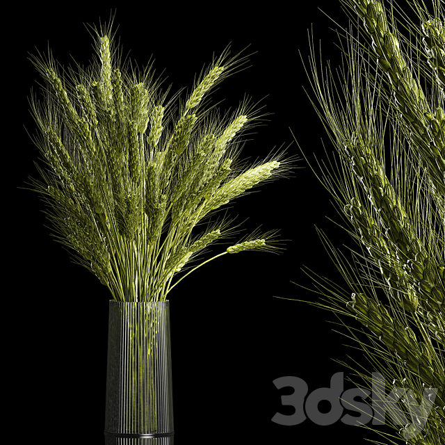 Bouquet of green flowers in a glass vase for decoration of wheat branches. spikelet. 265. 3DSMax File - thumbnail 1