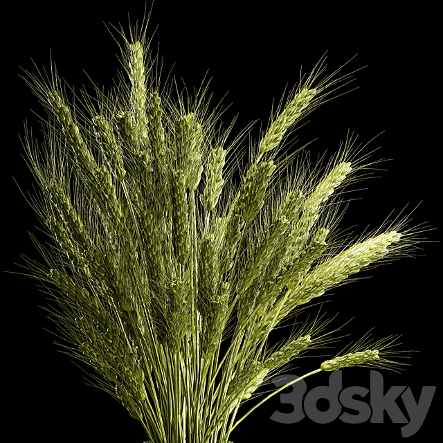 Bouquet of green flowers in a glass vase for decoration of wheat branches. spikelet. 265. 3DSMax File - thumbnail 2