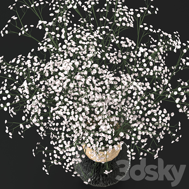 Bouquet of gypsophila 3DSMax File - thumbnail 4