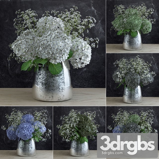 Bouquet Of Gypsophila With Hyndrangeas 1 3dsmax Download - thumbnail 1