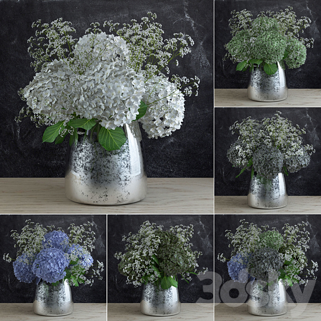 Bouquet of Gypsophila with Hyndrangeas 3DSMax File - thumbnail 1