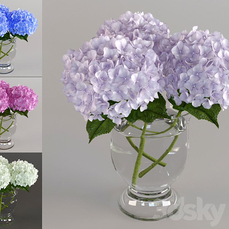 Bouquet of hydrangeas 3DS Max - thumbnail 1