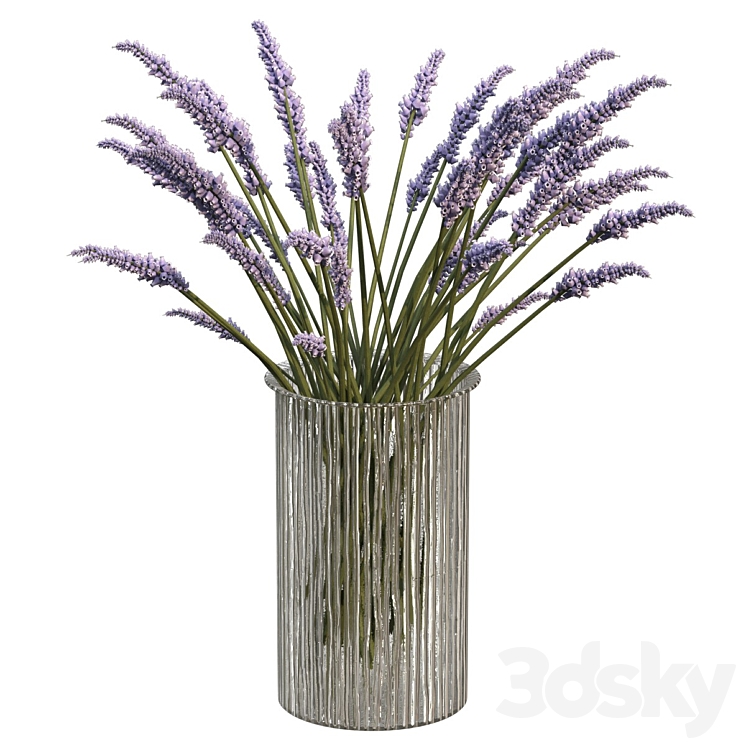 Bouquet of lavender 3DS Max Model - thumbnail 3