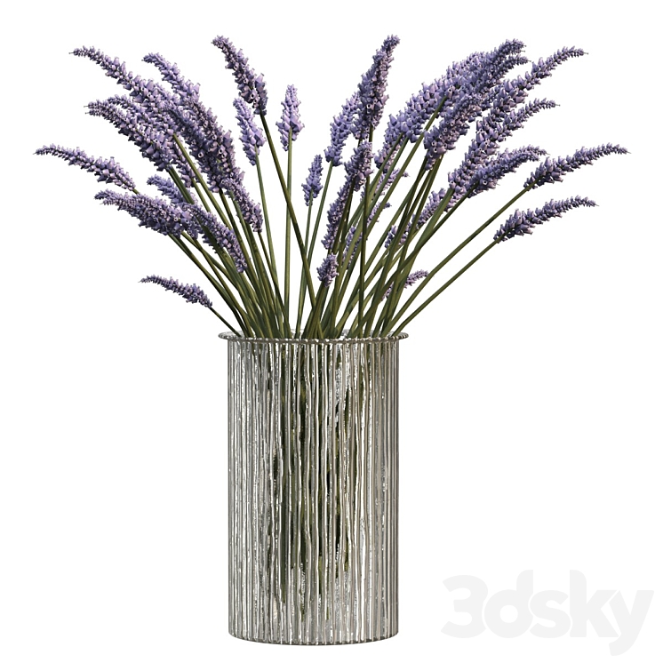 Bouquet of lavender 3DS Max - thumbnail 2