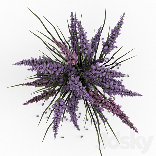 Bouquet of lavender. 3DS Max Model - thumbnail 2