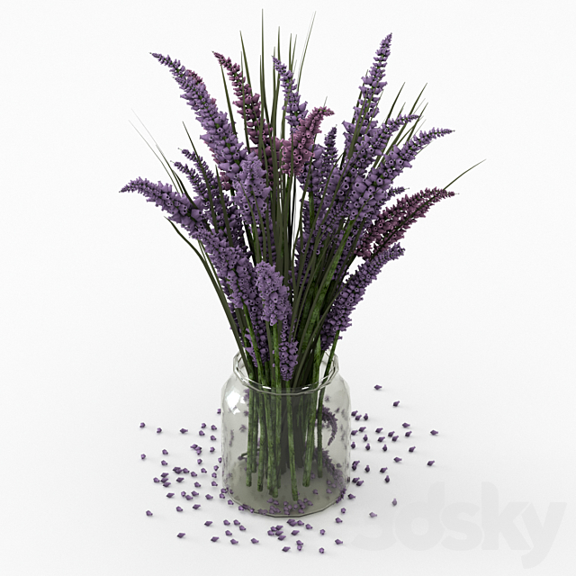 Bouquet of lavender. 3DS Max Model - thumbnail 3