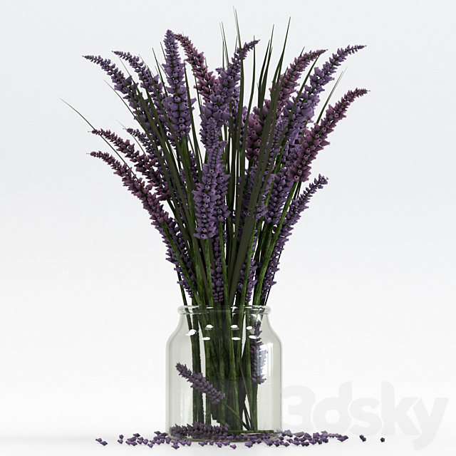 Bouquet of lavender. 3DS Max Model - thumbnail 4