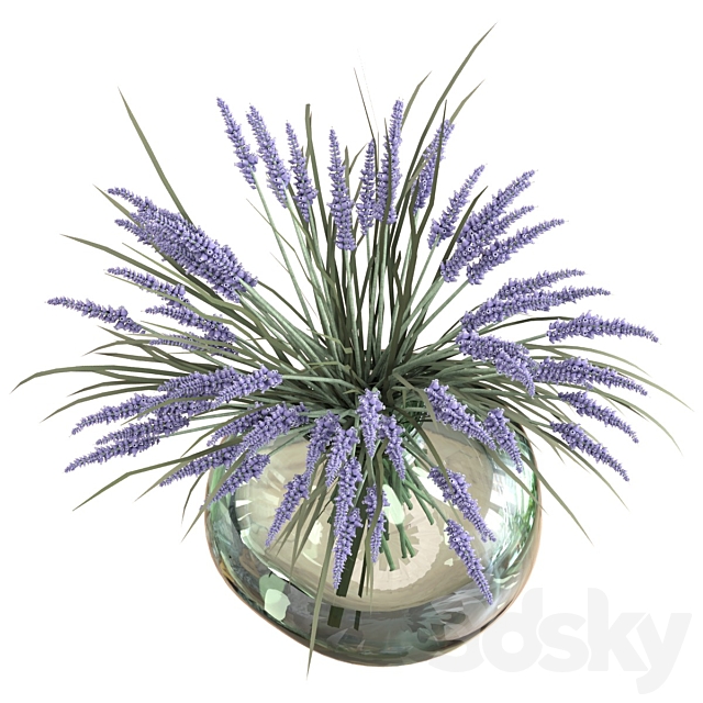 Bouquet of lavender 3DS Max Model - thumbnail 3