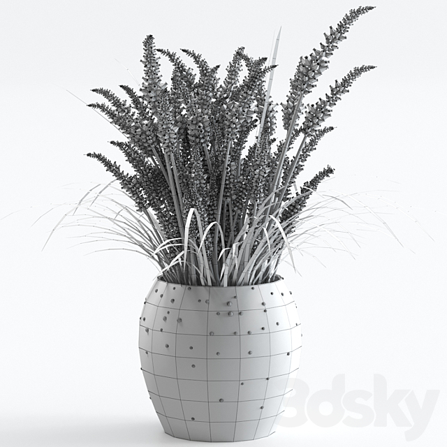 Bouquet of lavender. 3DSMax File - thumbnail 3