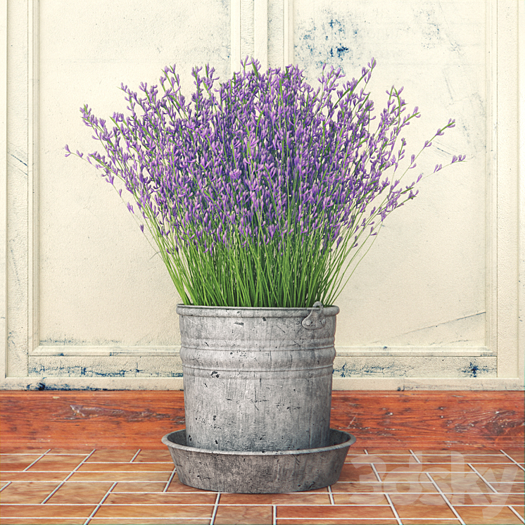 Bouquet of lilac flowers in a bucket 3DS Max - thumbnail 1