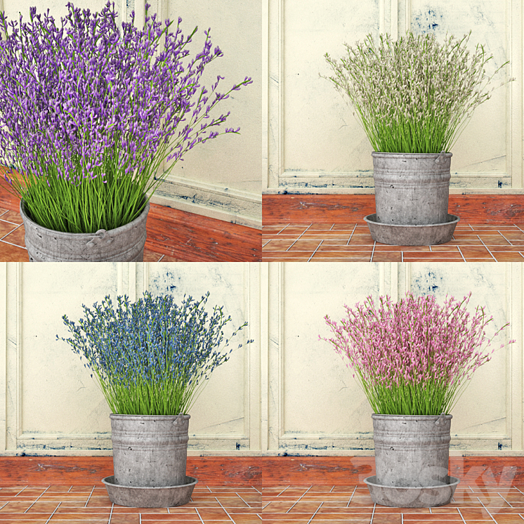 Bouquet of lilac flowers in a bucket 3DS Max - thumbnail 2