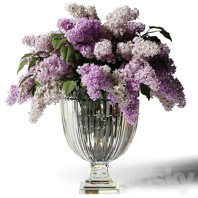 Bouquet of lilacs in a glass vase 3ds Max - thumbnail 1