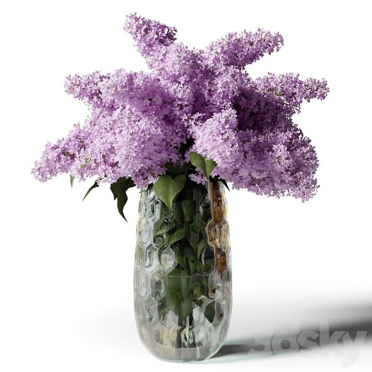 Bouquet of lilacs in a modern tall vase 3DS Max - thumbnail 1