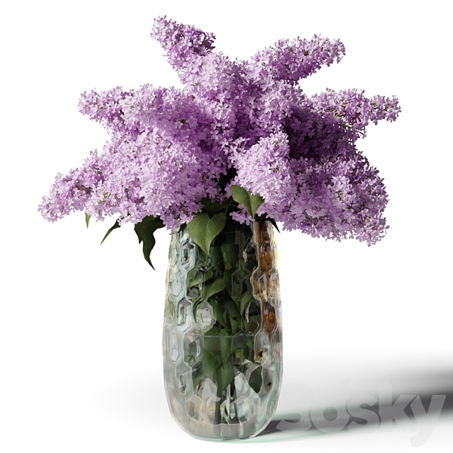 Bouquet of lilacs in a modern tall vase 3DSMax File - thumbnail 1