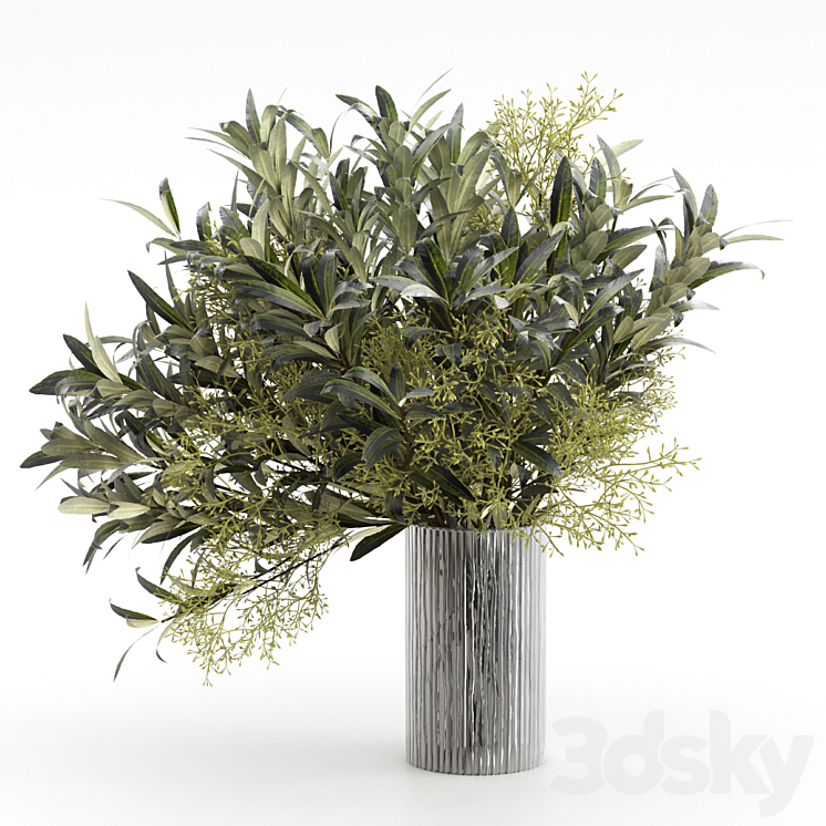 Bouquet of olive branches. 3DS Max - thumbnail 1