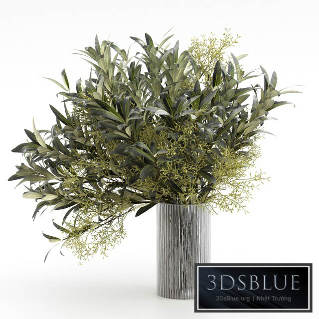 Bouquet of olive branches. 3DS Max - thumbnail 3