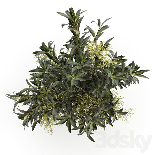 Bouquet of olive branches. 3DSMax File - thumbnail 3