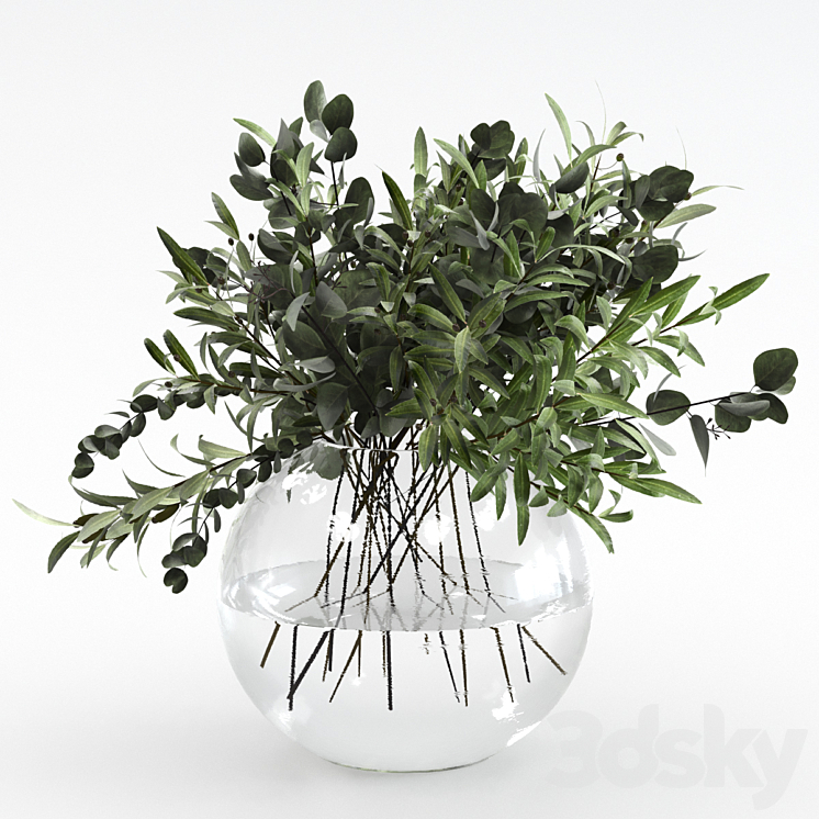 Bouquet of olives and eucalyptus 3DS Max - thumbnail 1