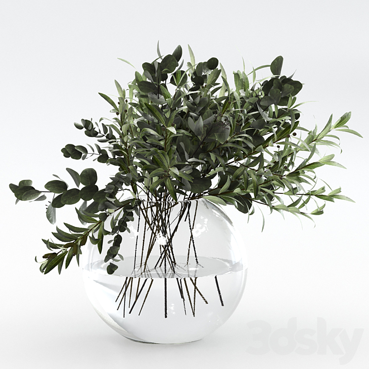 Bouquet of olives and eucalyptus 3DS Max - thumbnail 2