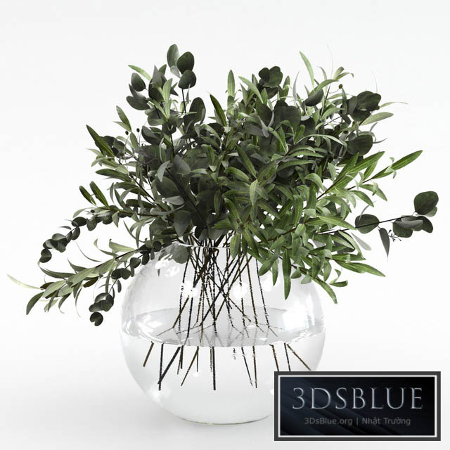 Bouquet of olives and eucalyptus 3DS Max - thumbnail 3